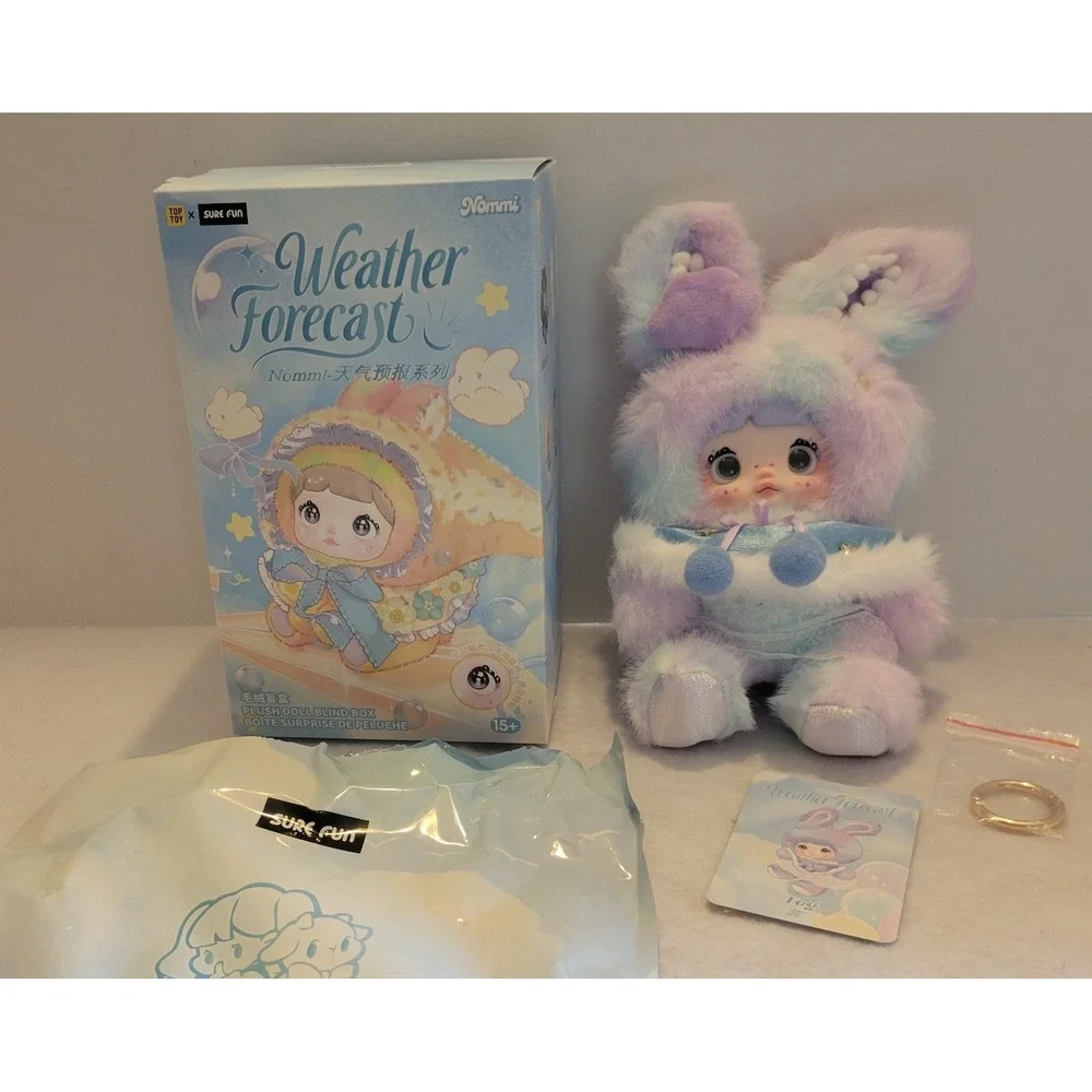 Nommi Weather Forecast V10 FOG Plush Confirmed Blind Box Opened New USA